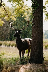 Statue de cerf dans le parc de l’Orangerie de Châtel